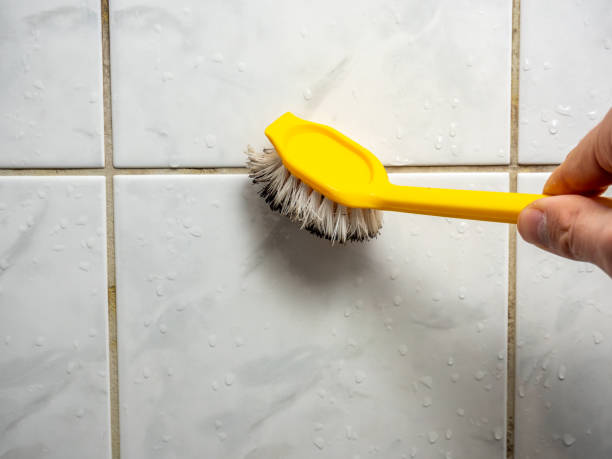 Best Mold Removal Near Me  in Brookdale, CA