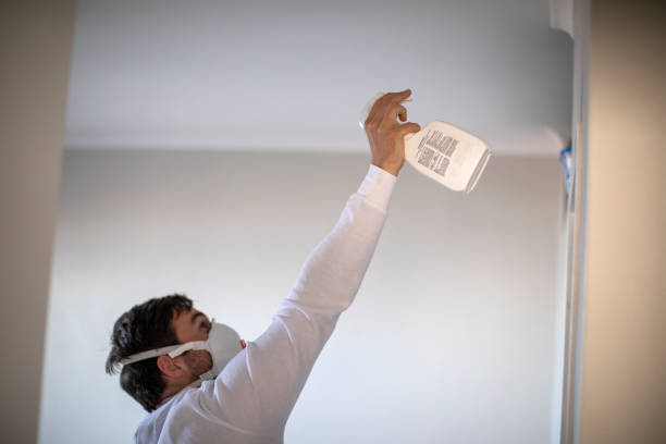 Crawl Space Mold Removal in Brookdale, CA
