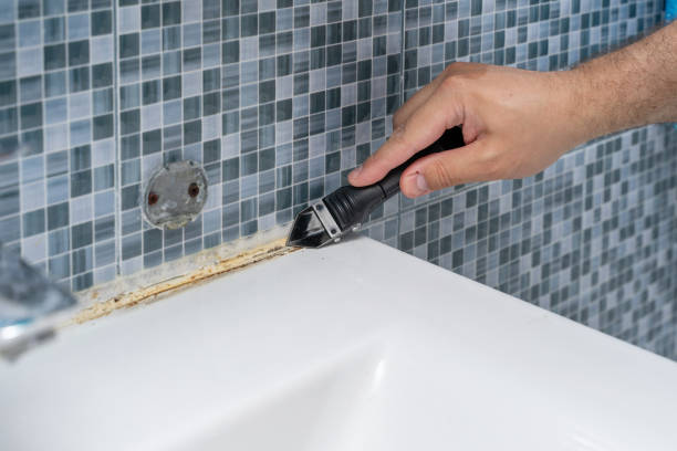 Best Best Mold Removal Companies  in Brookdale, CA