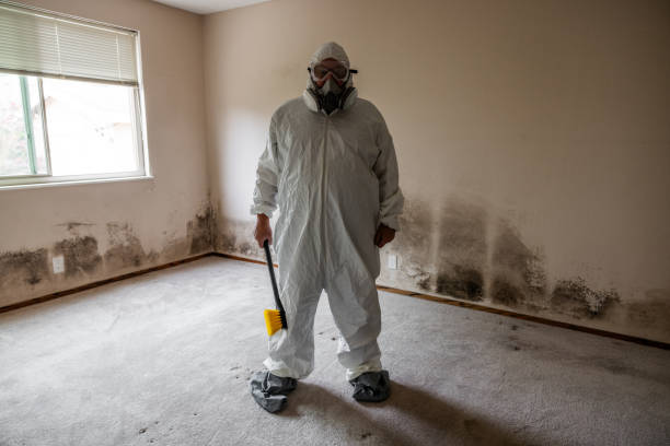 Best Certified Mold Removal  in Brookdale, CA